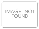 Concerts & Stage Shows
