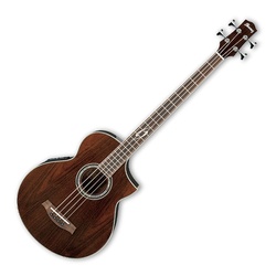 IBANEZ  ELECTRO-ACOUSTIC BASS