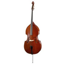 HOFNER DOUBLE BASS 