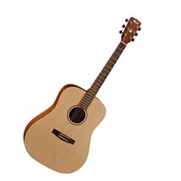 Acoustic Guitars