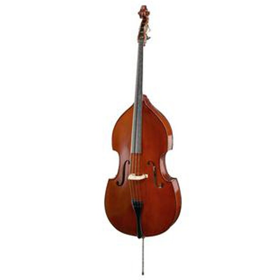 HOFNER DOUBLE BASS AS 160